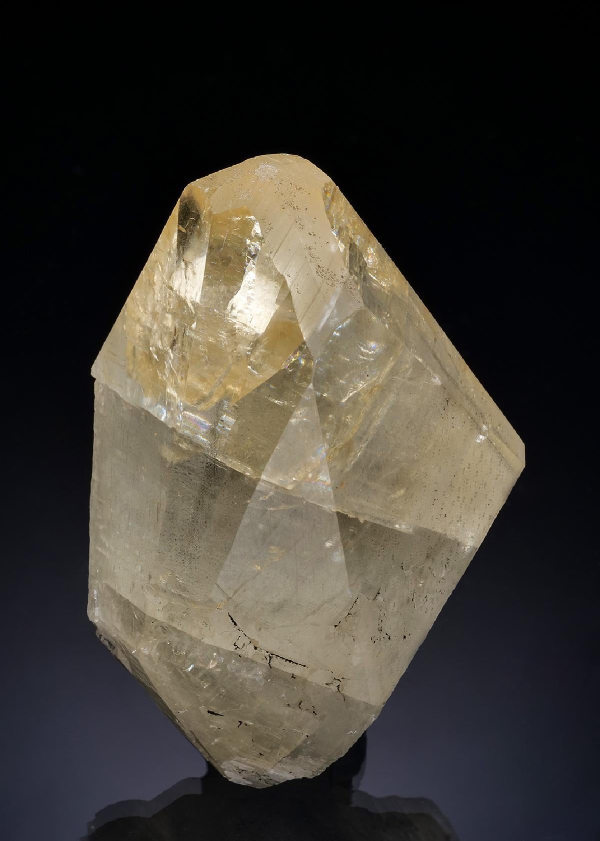 CC56404 specimen image