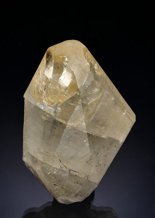 CC56404 specimen image