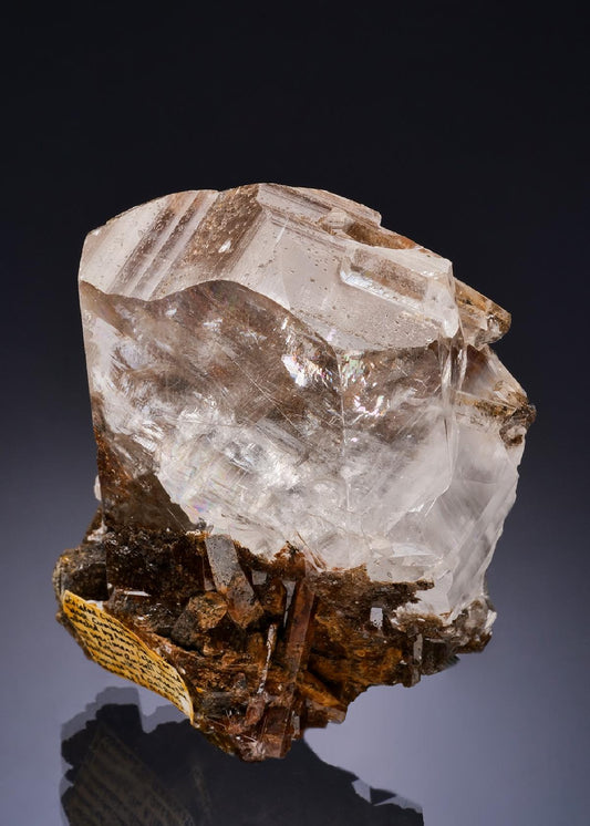 CC56412 specimen image