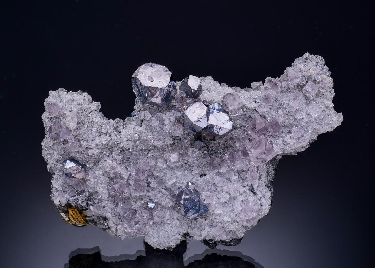 CC56414 specimen image