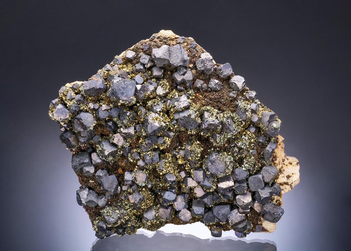 CC56420 specimen image