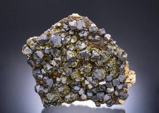 CC56420 specimen image