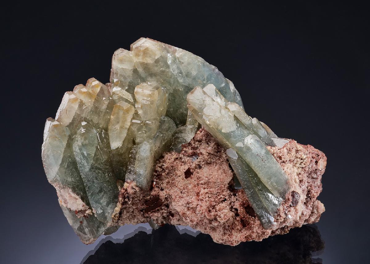 CC56424 specimen image