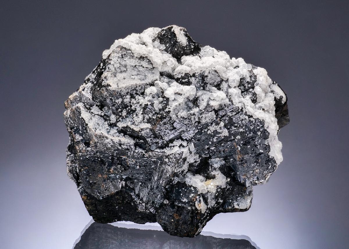 CC56430 specimen image