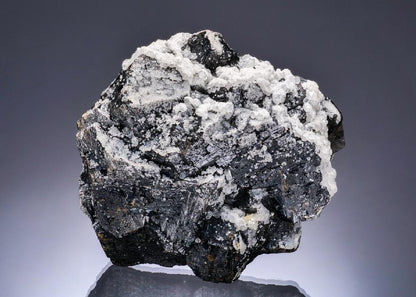 CC56430 specimen image