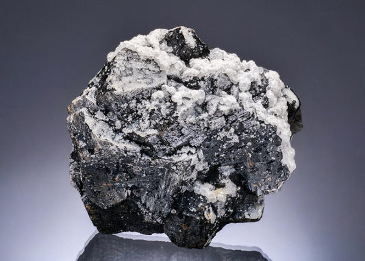 CC56430 specimen image