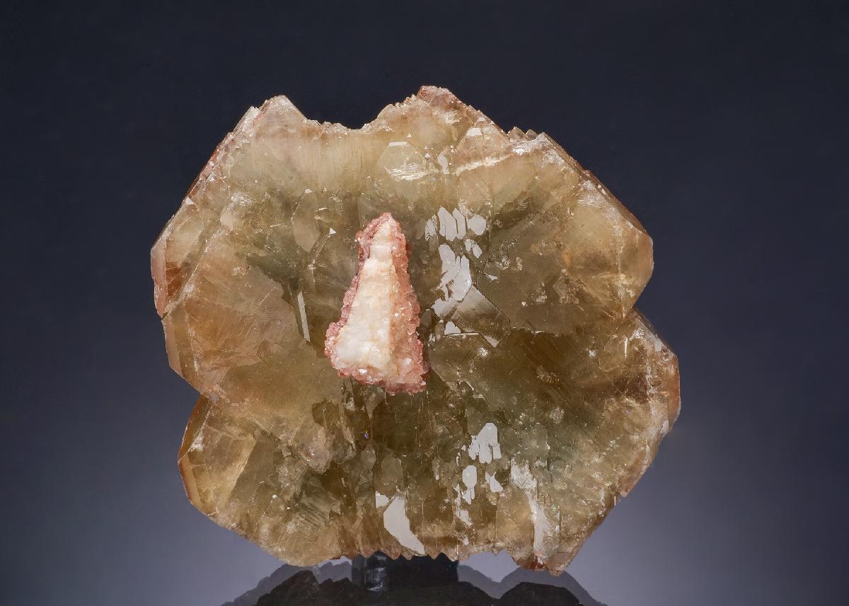 CC56436 specimen image