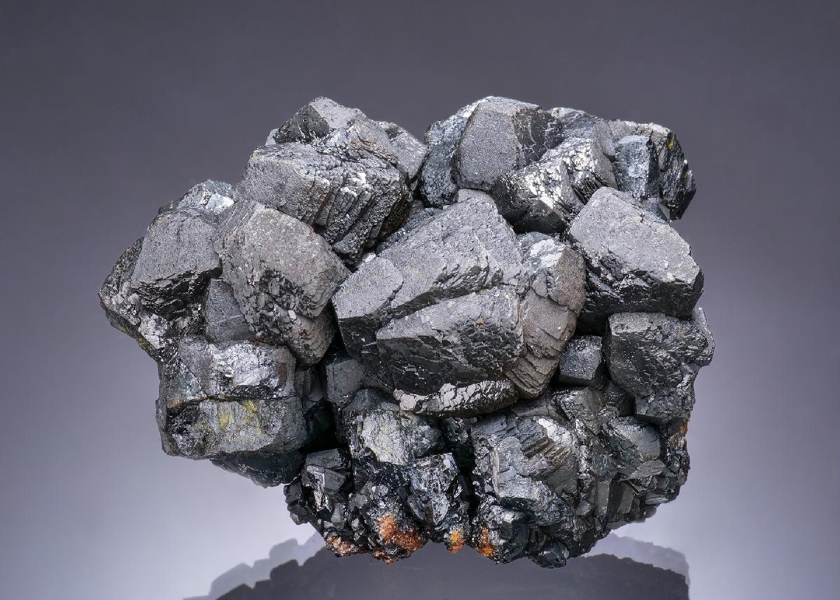 CC56442 specimen image