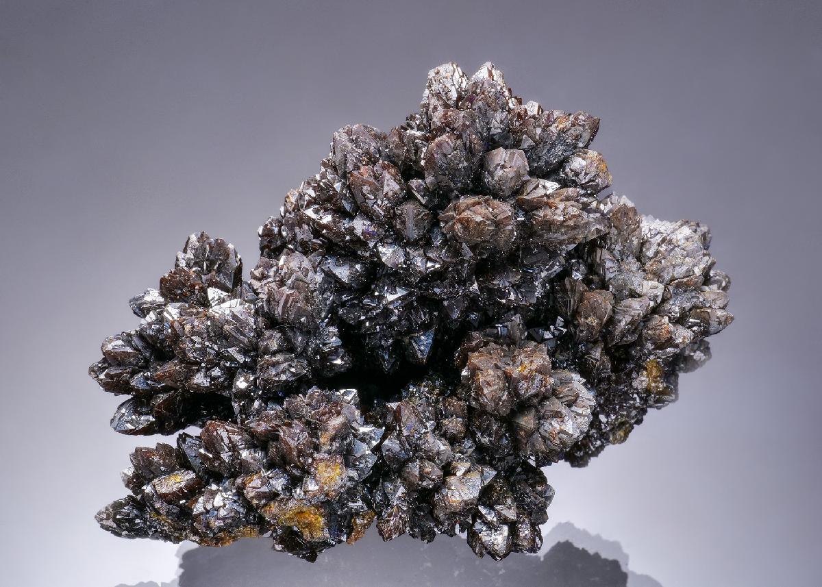 CC56448 specimen image
