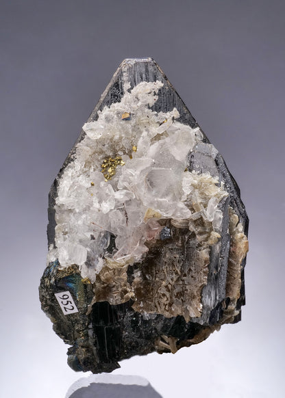 FERBERITE with MUSCOVITE