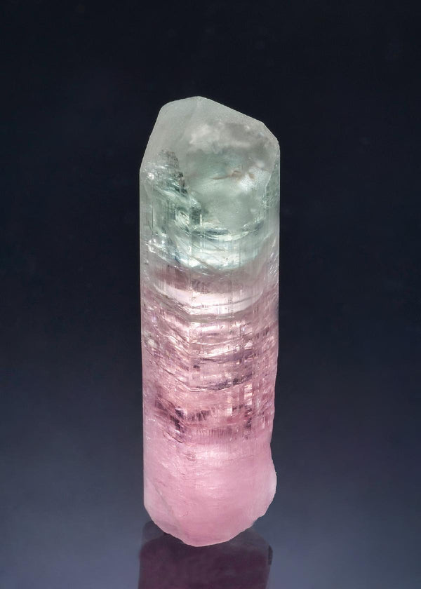 CC56458 specimen image