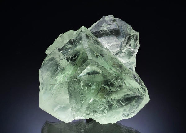 CC56486 specimen image