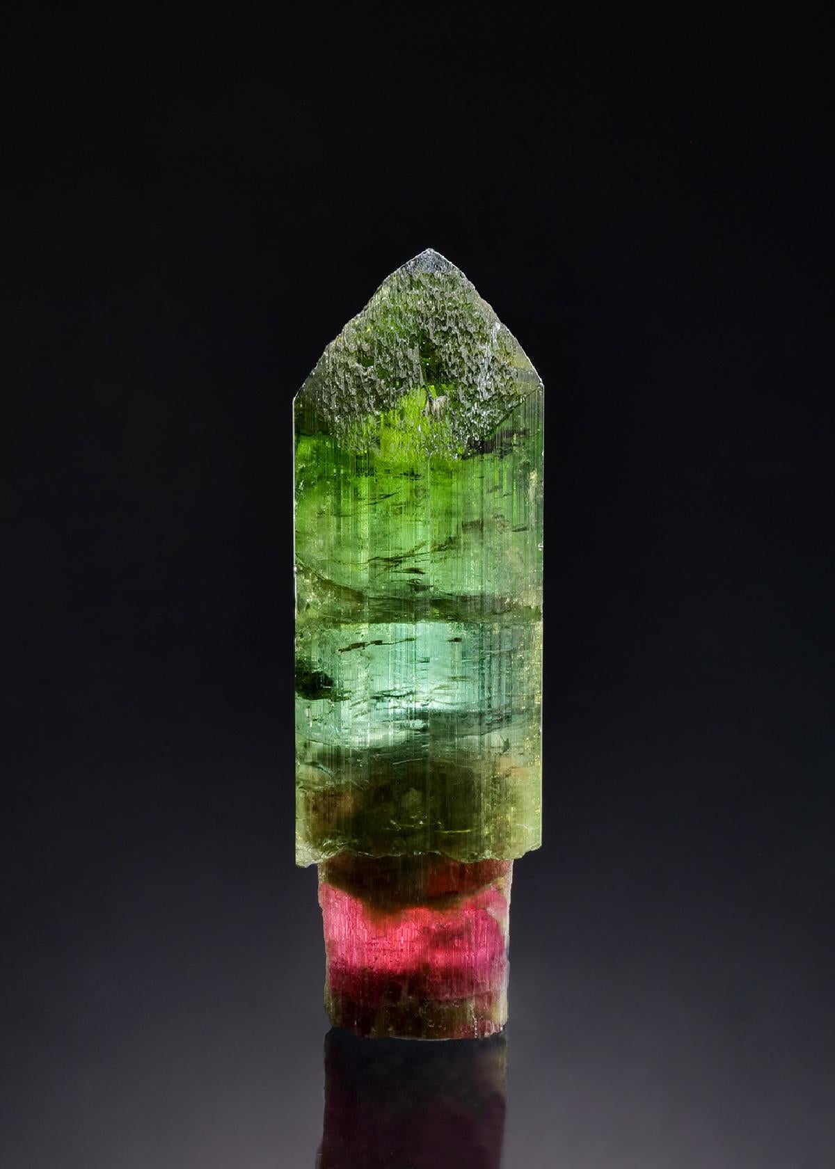 CC56526 specimen image
