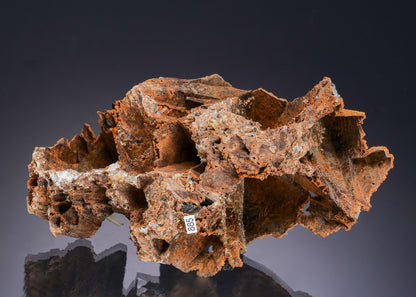 GOETHITE epimorphs after CALCITE with ARAGONITE