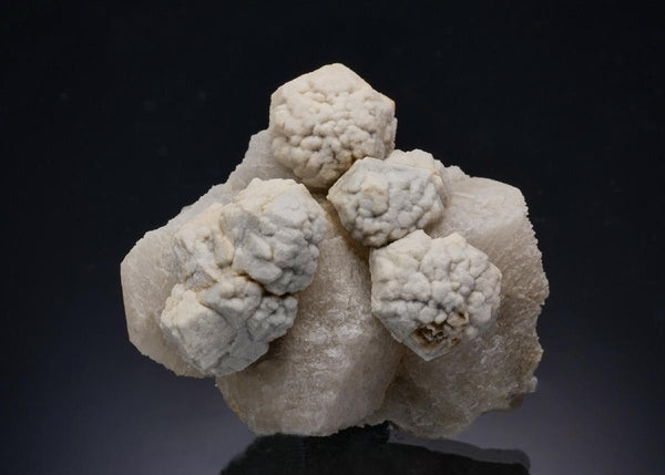 CC56720 specimen image