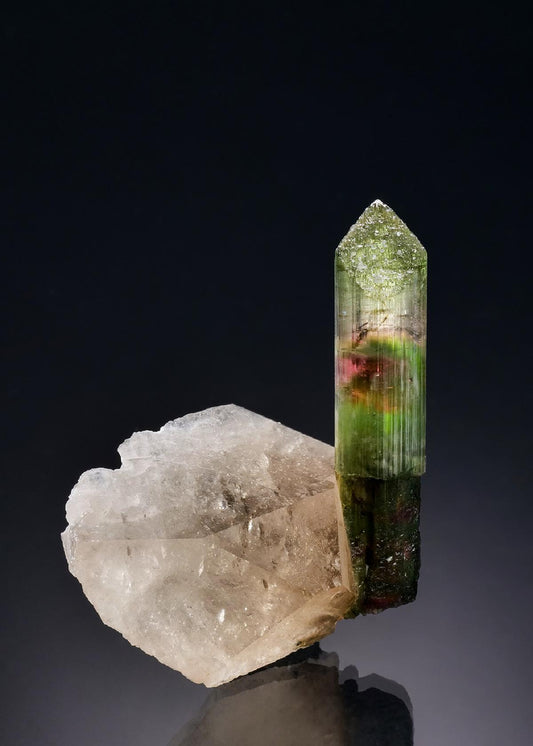 CC56758 specimen image