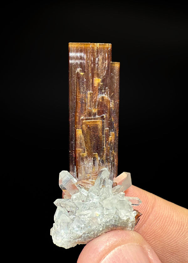 CC56766 specimen image
