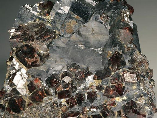 CC569 specimen image