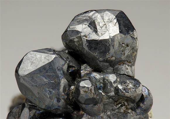 CC5713 specimen image