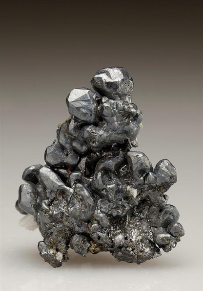 CC5713 specimen image