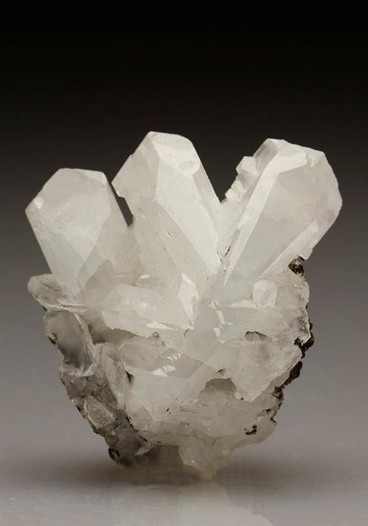 CC5718 specimen image