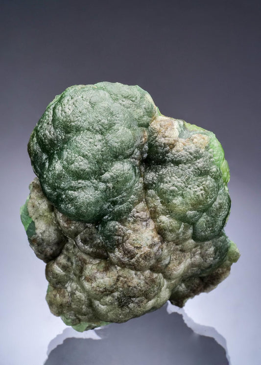 CC57216 specimen image
