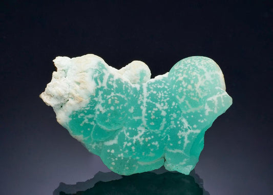 CC57230 specimen image