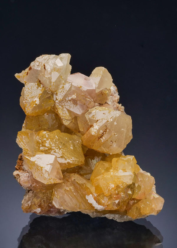 CC57240 specimen image