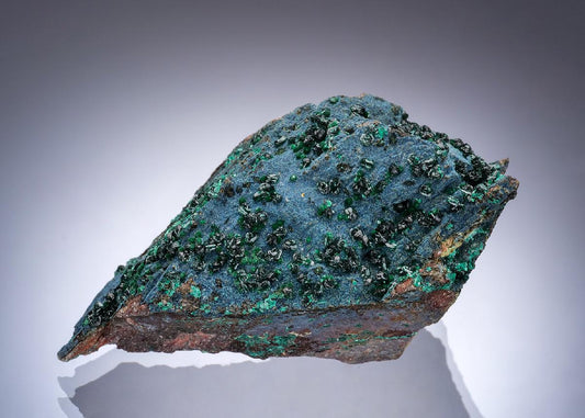 CC57256 specimen image