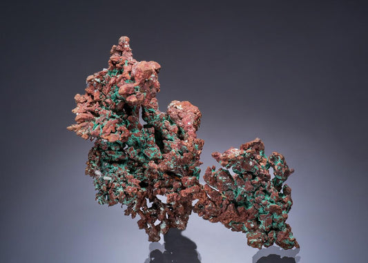 CC57260 specimen image