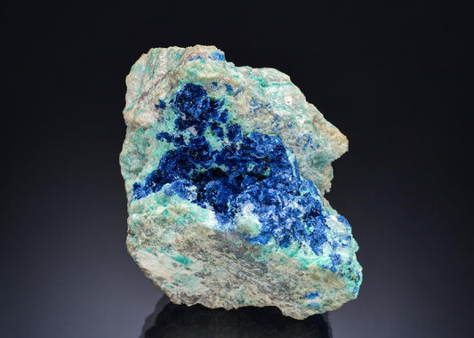 CC57274 specimen image