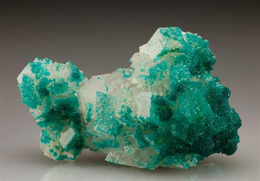 CC5728 specimen image