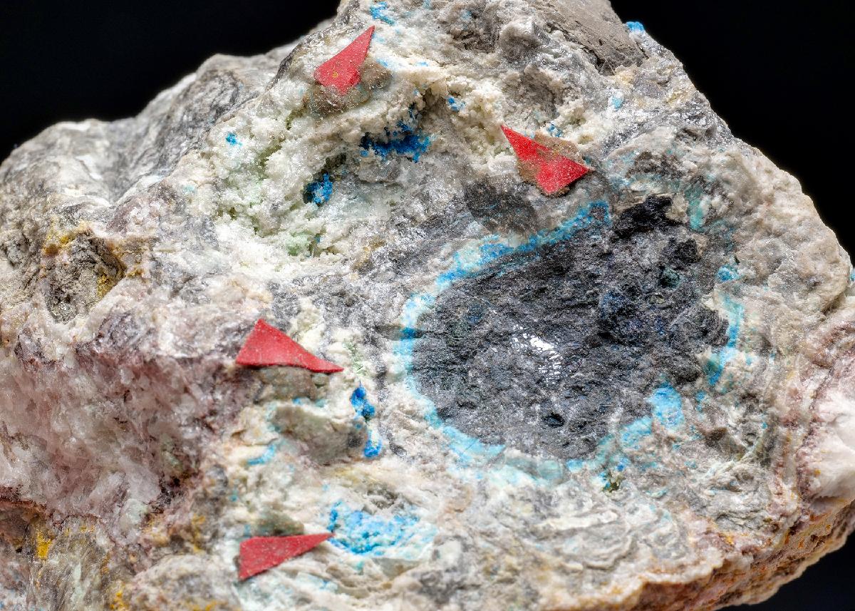 CC57284 specimen image