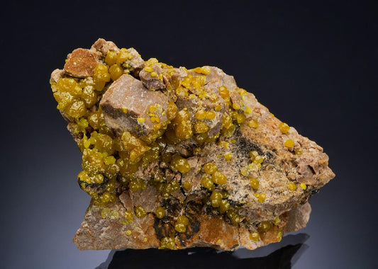 CC57294 specimen image