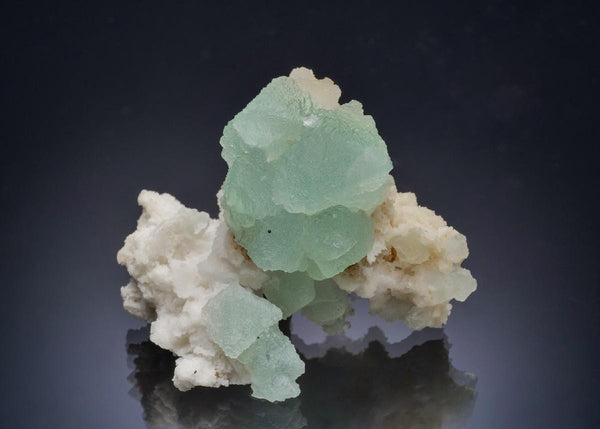 CC57304 specimen image