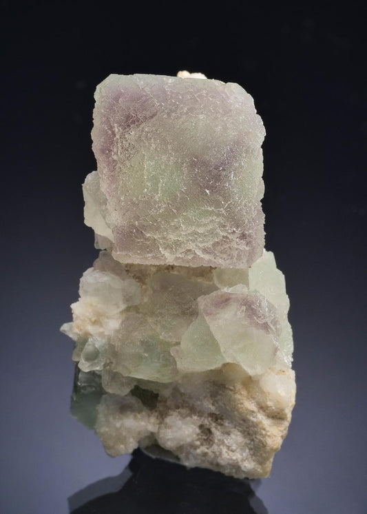 CC57306 specimen image