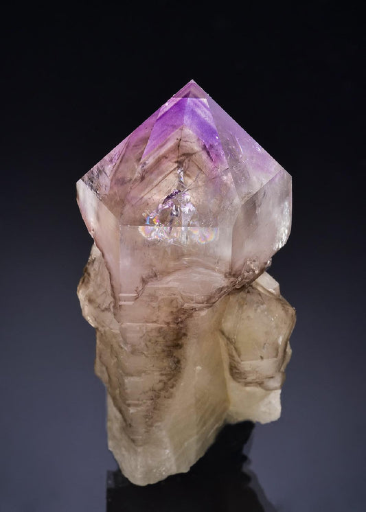 CC57312 specimen image