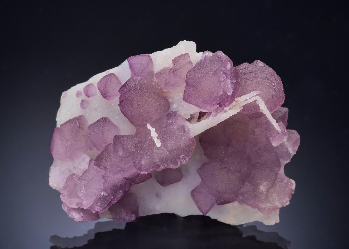 CC57324 specimen image