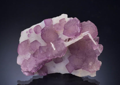 CC57324 specimen image