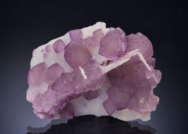 CC57324 specimen image