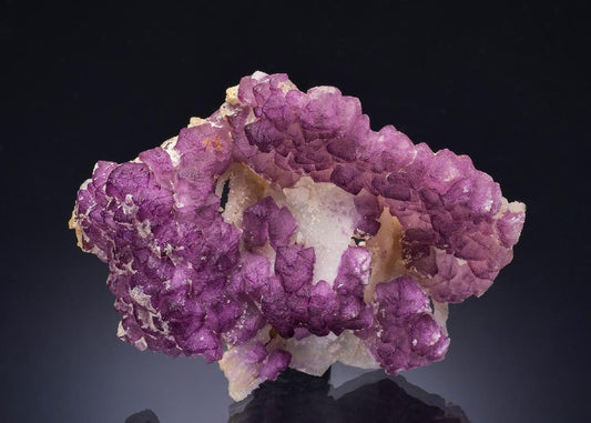 CC57336 specimen image