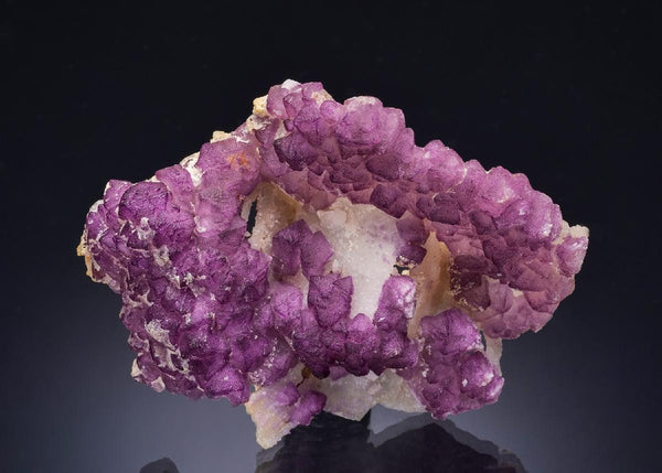 CC57336 specimen image