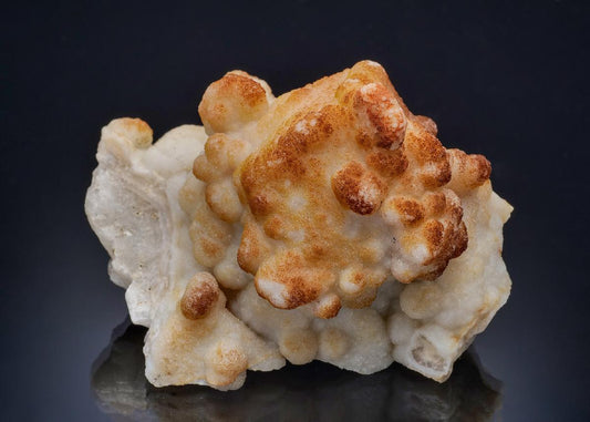 CC57362 specimen image