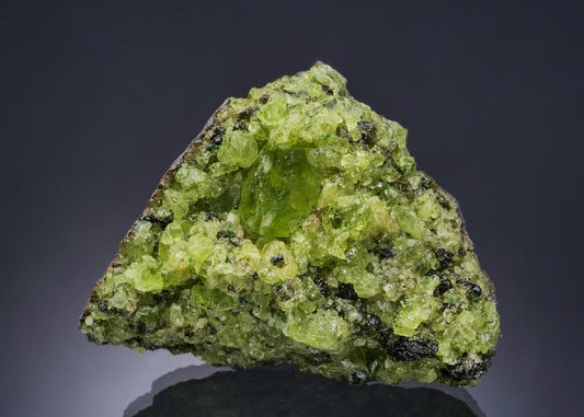 CC57366 specimen image