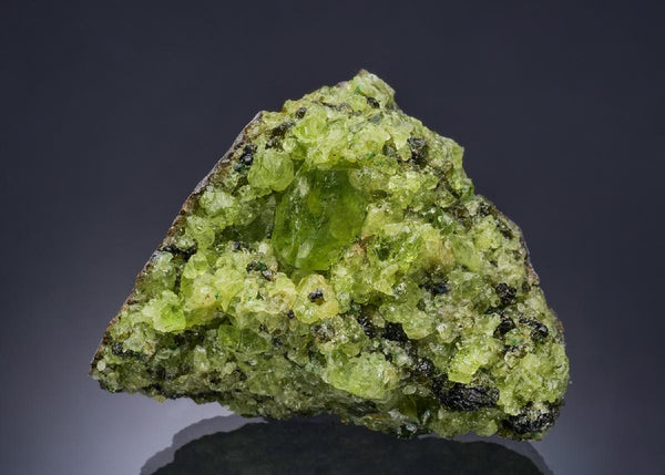 CC57366 specimen image
