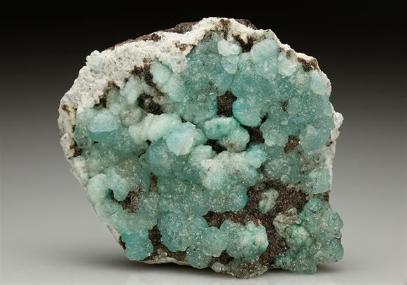 CC5737 specimen image