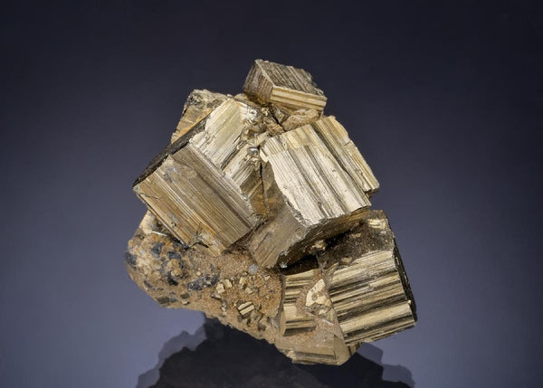 CC57378 specimen image