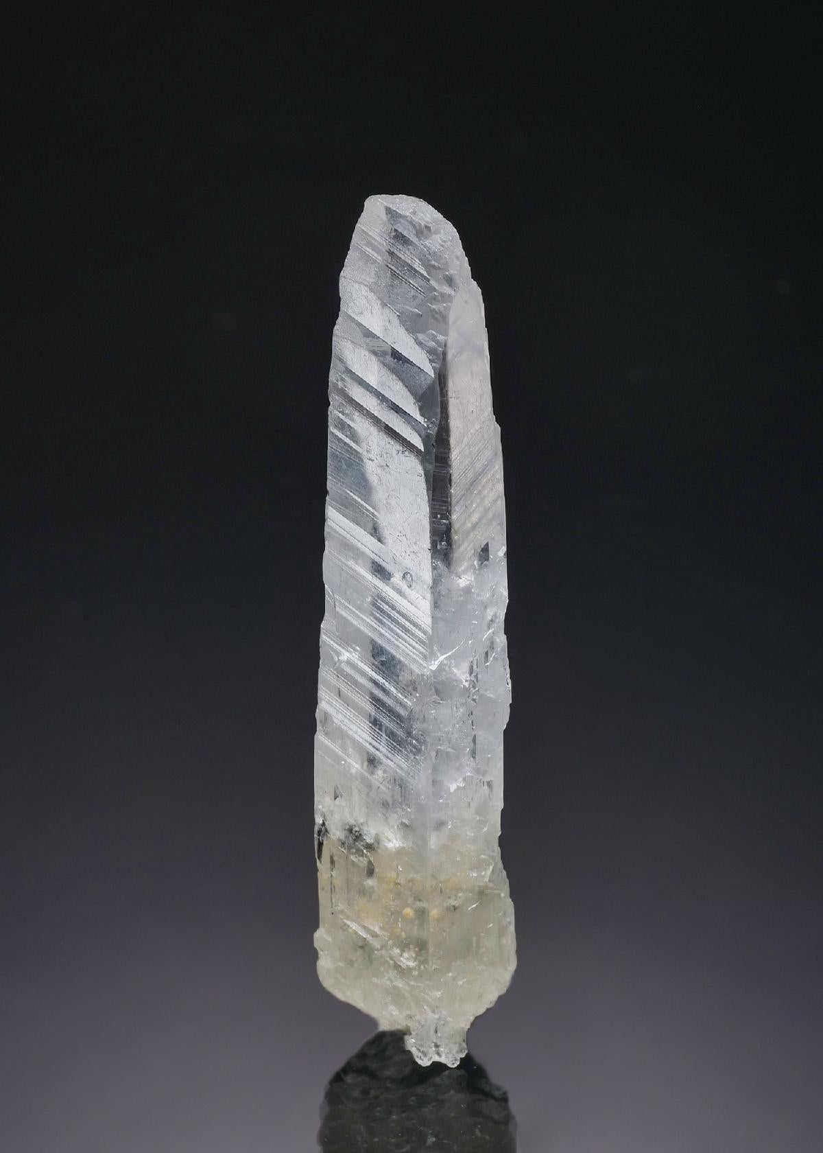 CC57404 specimen image