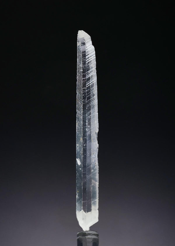 CC57408 specimen image