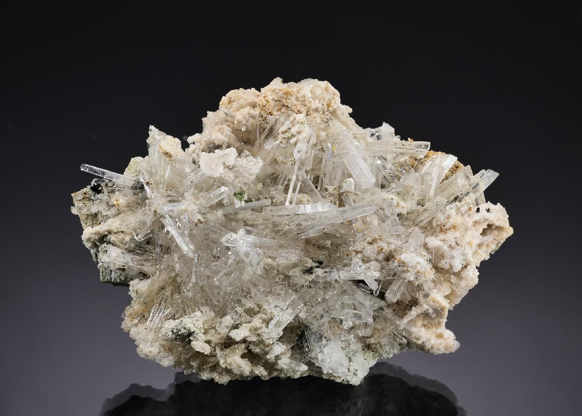 CC57412 specimen image